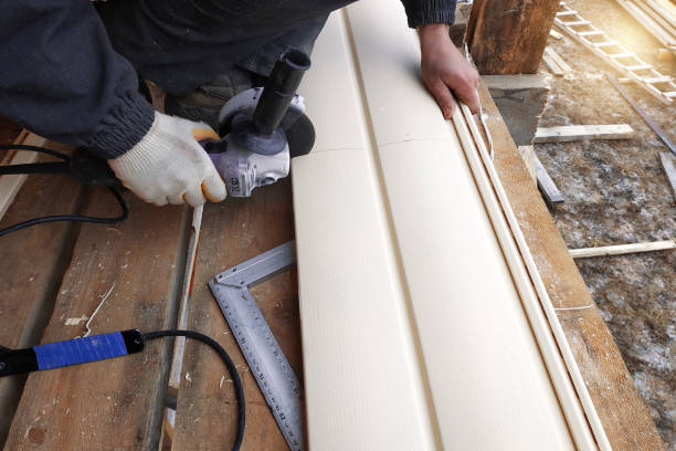 Best Custom Siding Design  in Edgewater, CO